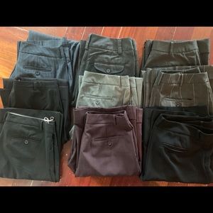 NY & Company Dress Pants Bundle